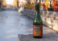 Surbryggda öl – från Lambic till Gose